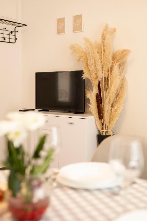 Studio Apartman Amalie パジン エクステリア 写真